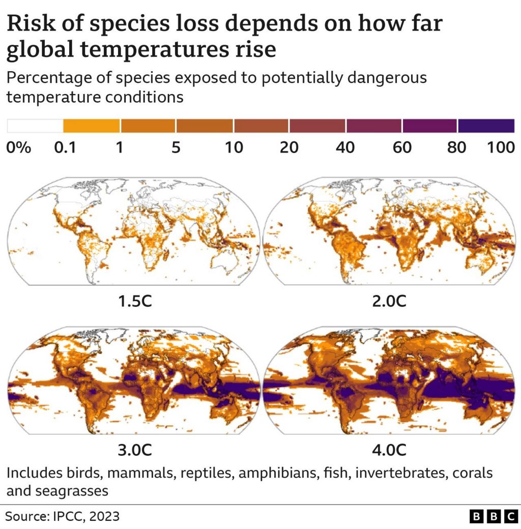 Infographic showing much greater loss of species at higher levels of global warming