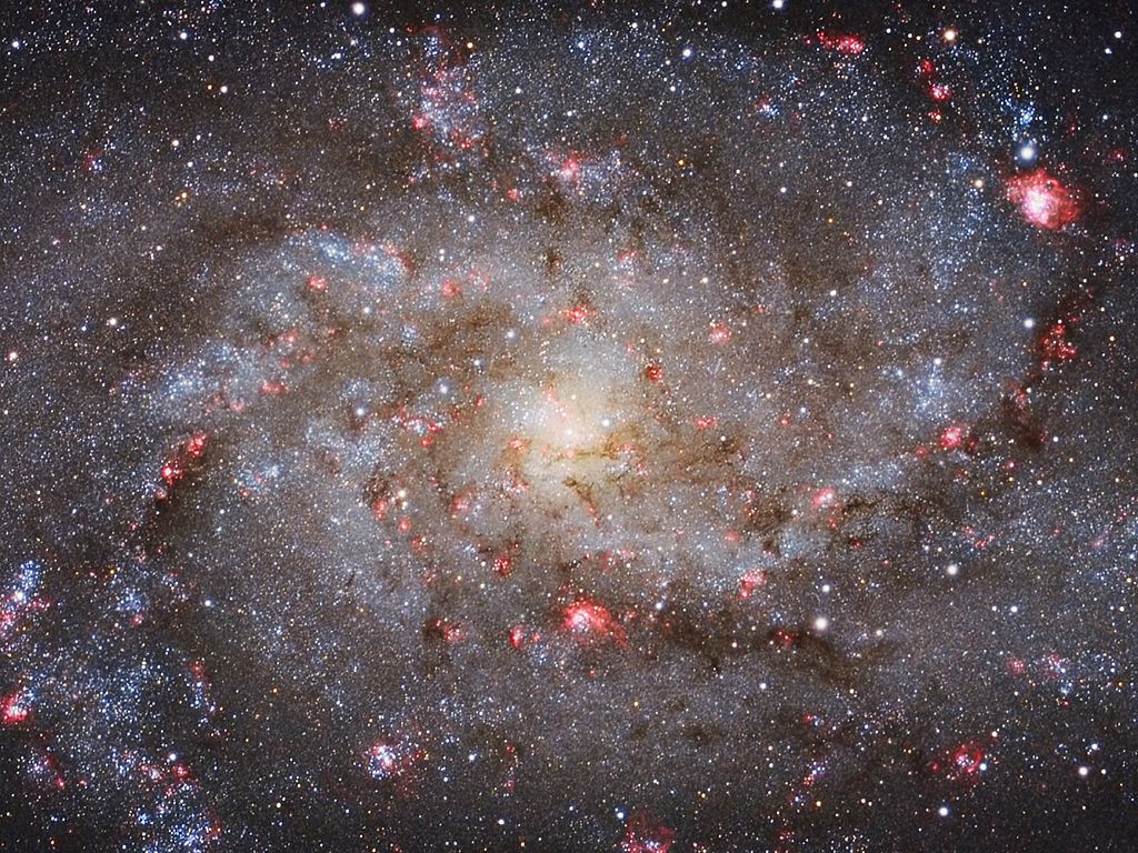 M33 Core - by Michael van Doorn (Galaxies, Winner)