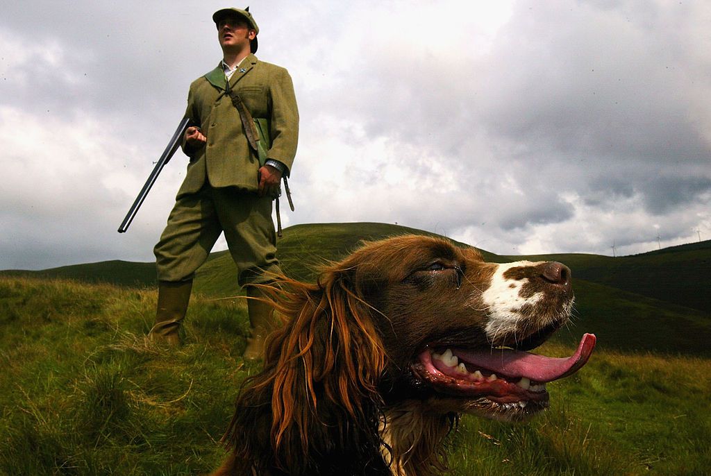Grouse-shooter-with-a-gun-dog.