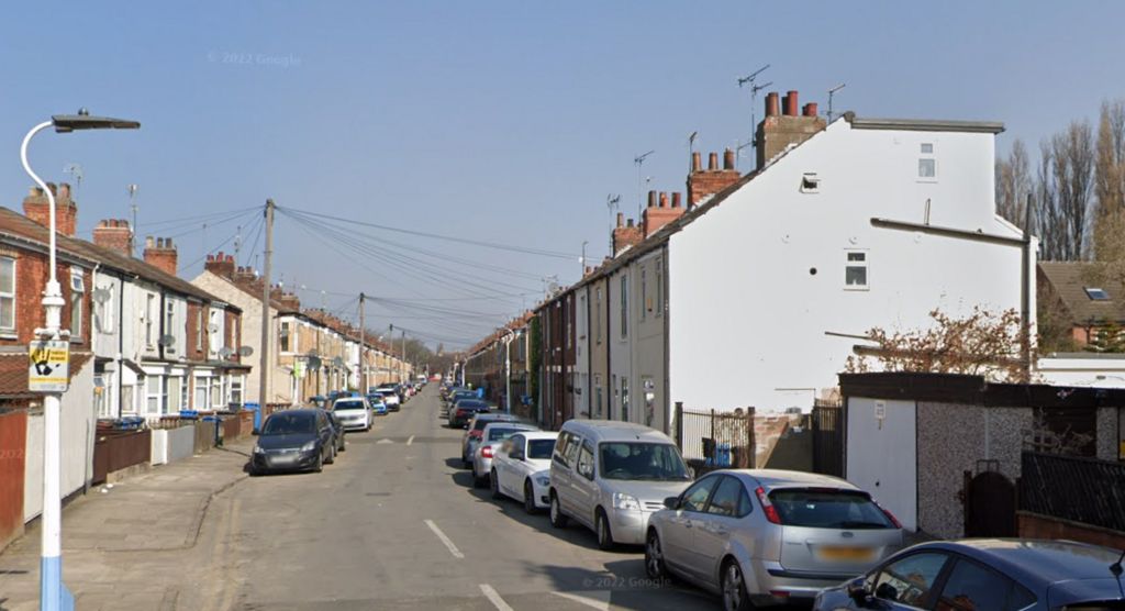 Hull Police appeal after dog attempts to bite young girl BBC News