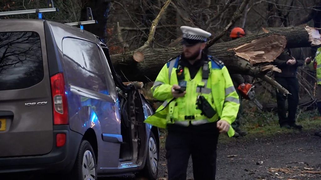 A police officer walking past a car that has been crushed by a tree