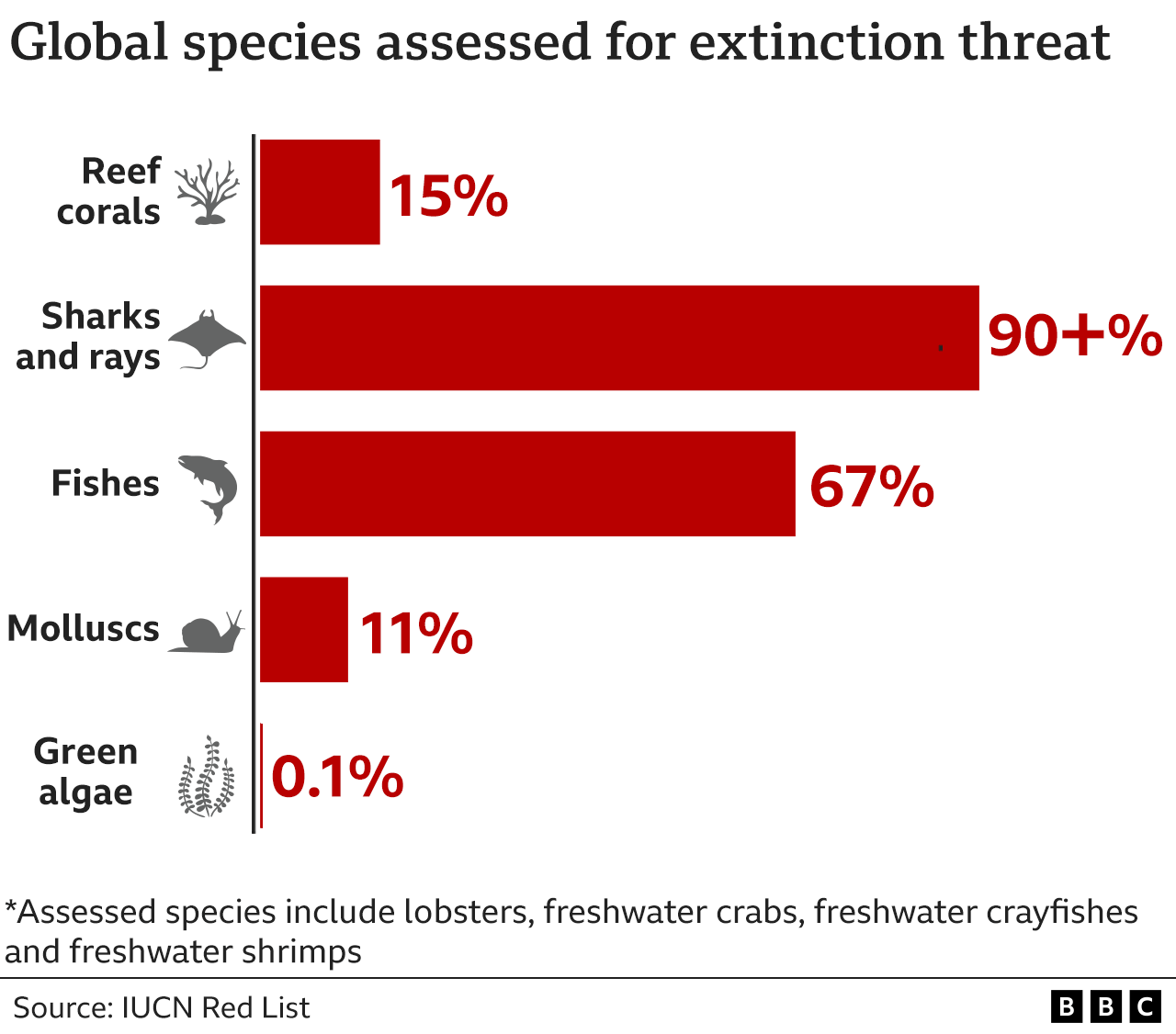 Efforts to pass global ocean protection treaty fail _126445920_endangered_global_species-2x-nc