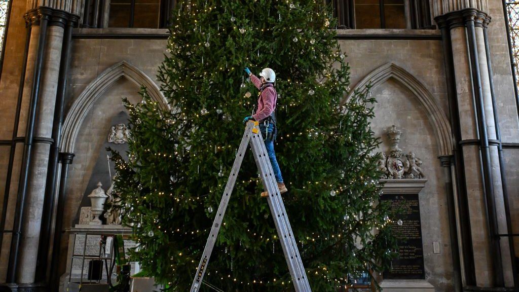 Salisbury Cathedral's 32ft tree