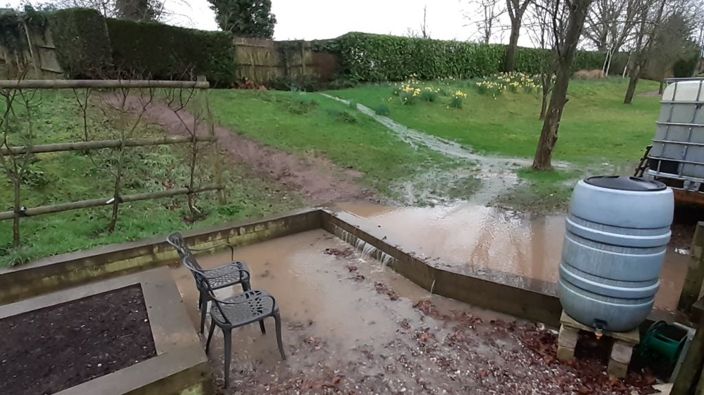 A flooded garden