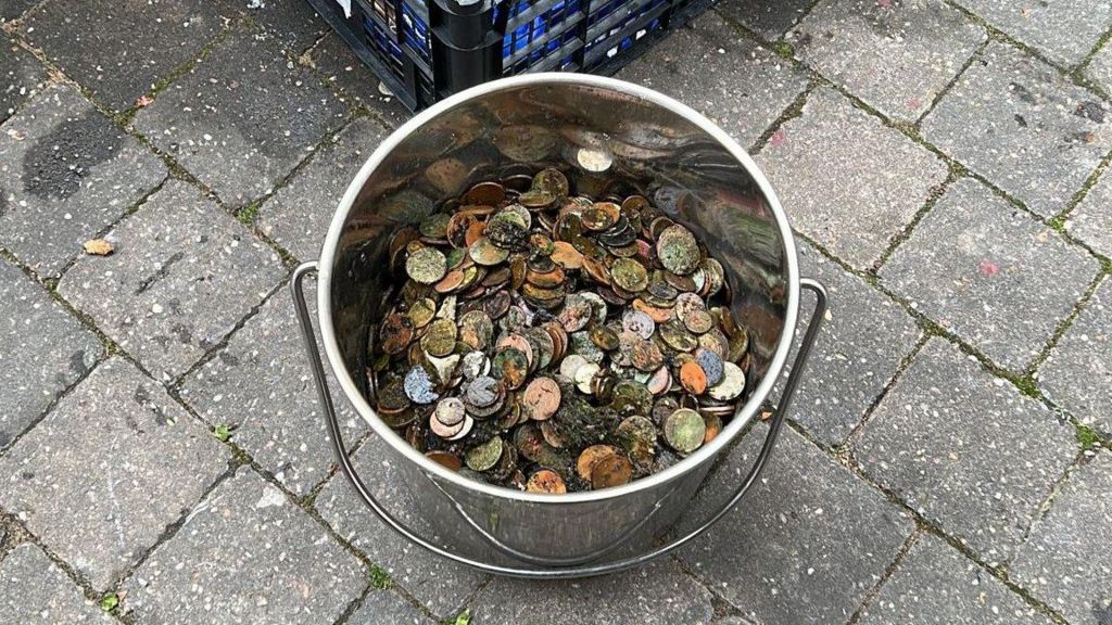 Coins collected from the pond