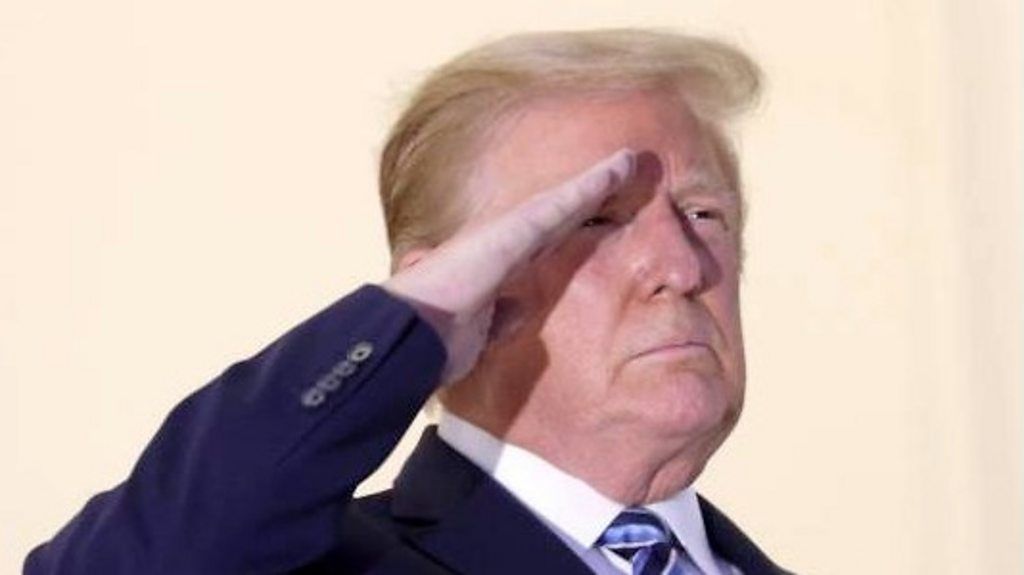 Donald Trump saluting