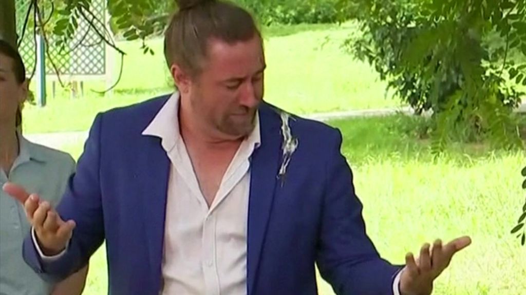 Owl poos on Australian sign language interpreter! BBC Newsround