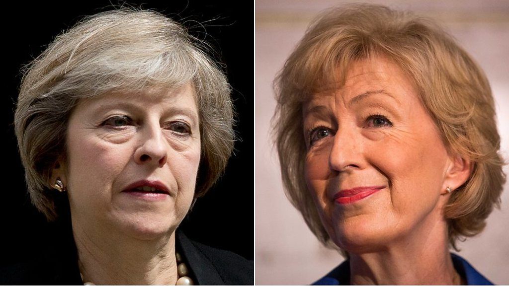 Andrea Leadsom has told The Times that being a mother gives her a stake in the future of the UK, compared to Theresa May who does not have children.