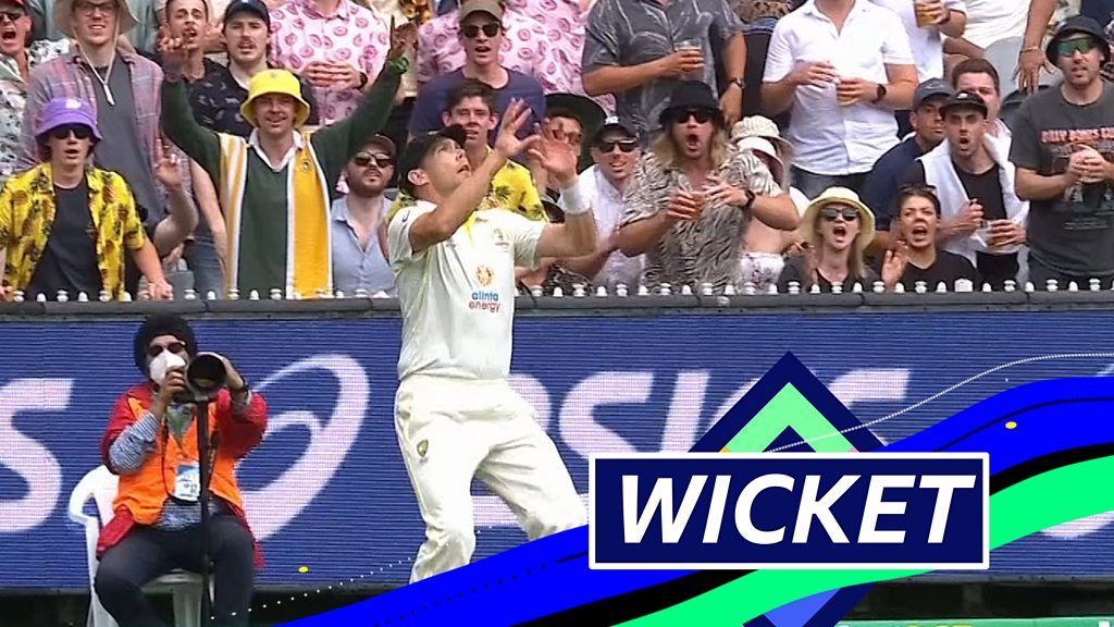 The Ashes: England all out for 185 as Robinson holes out