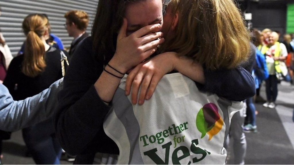 Ireland abortion vote activists