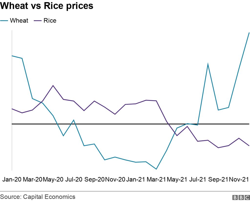 Wheat vs Rice prices