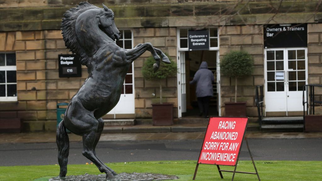 Equine flu 174 stables in lockdown what now for horse racing