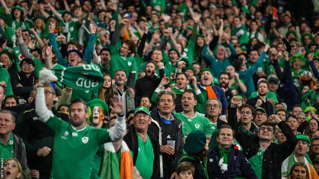 Ireland fans watch on during the defeat by New Zealand