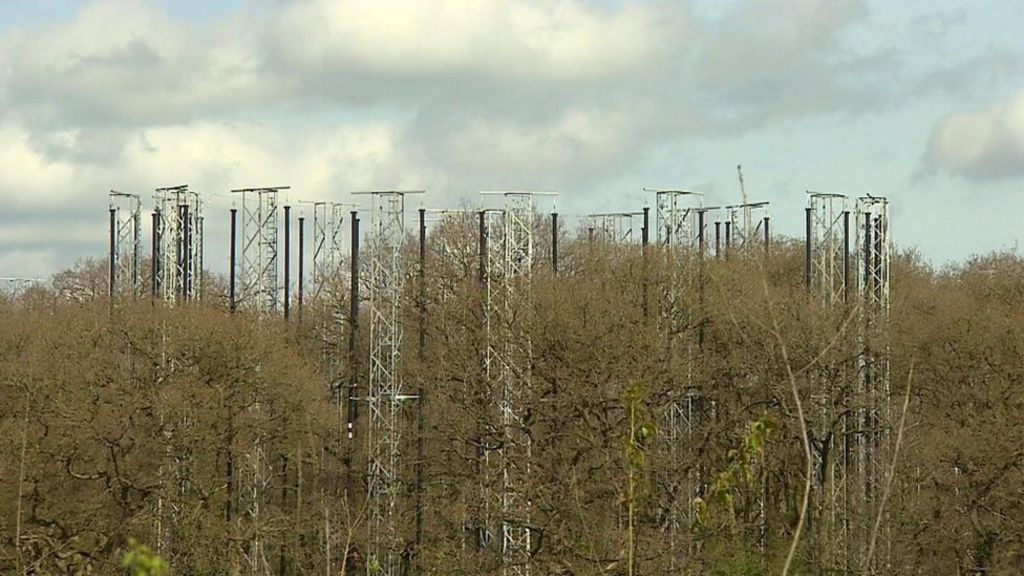 Scientists in Staffordshire switch on futuristic-looking forest to measure carbon impact