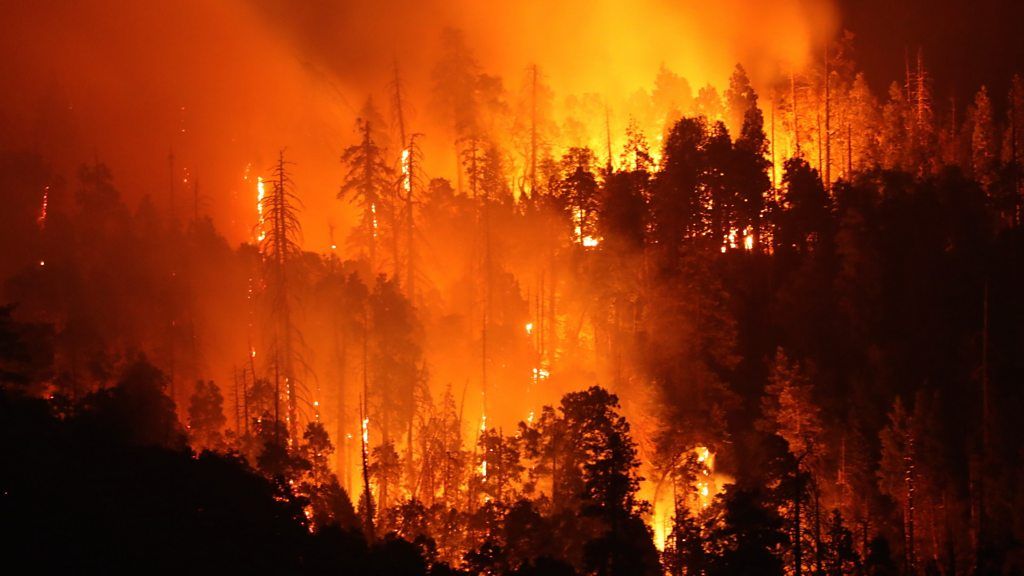 Wildfire burns in California