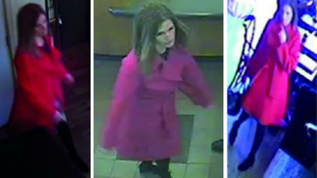 Photo appeal in hunt for mother missing with two sons