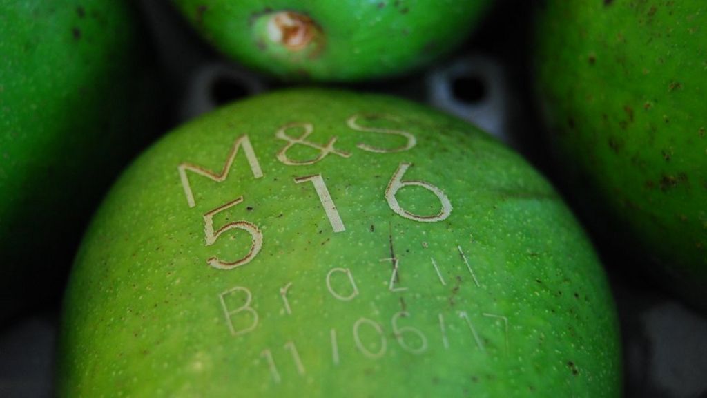 M&S says labelling avocados with lasers is more sustainable