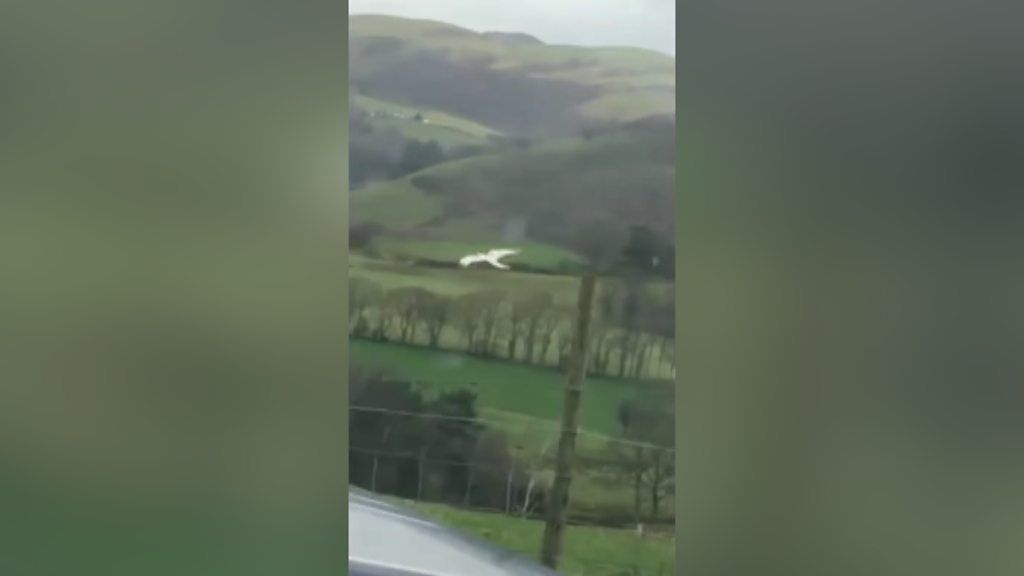 A farmer thought she had seen a seagull but then realised it could be a red kite, which was red.