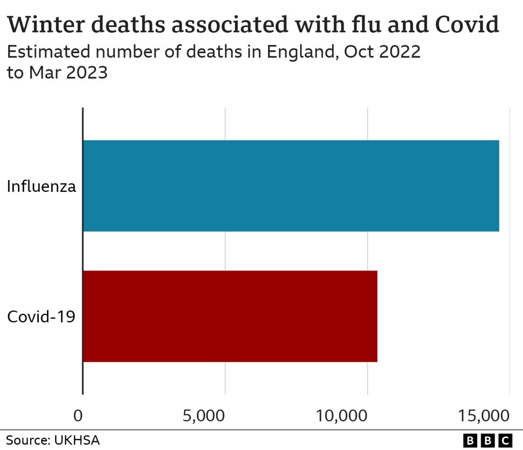 Deaths linked to Covid and flu last winter