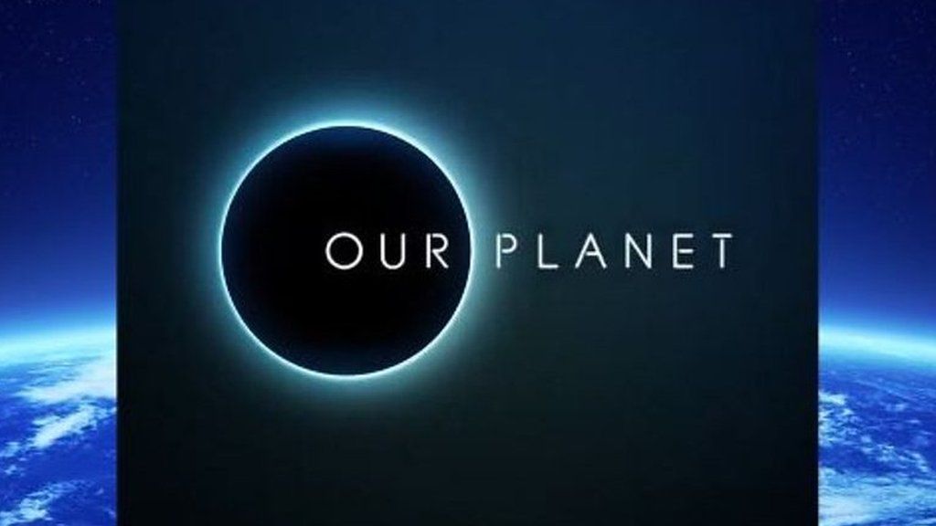 Watch the trailer for David Attenborough's new Netflix series Our ...