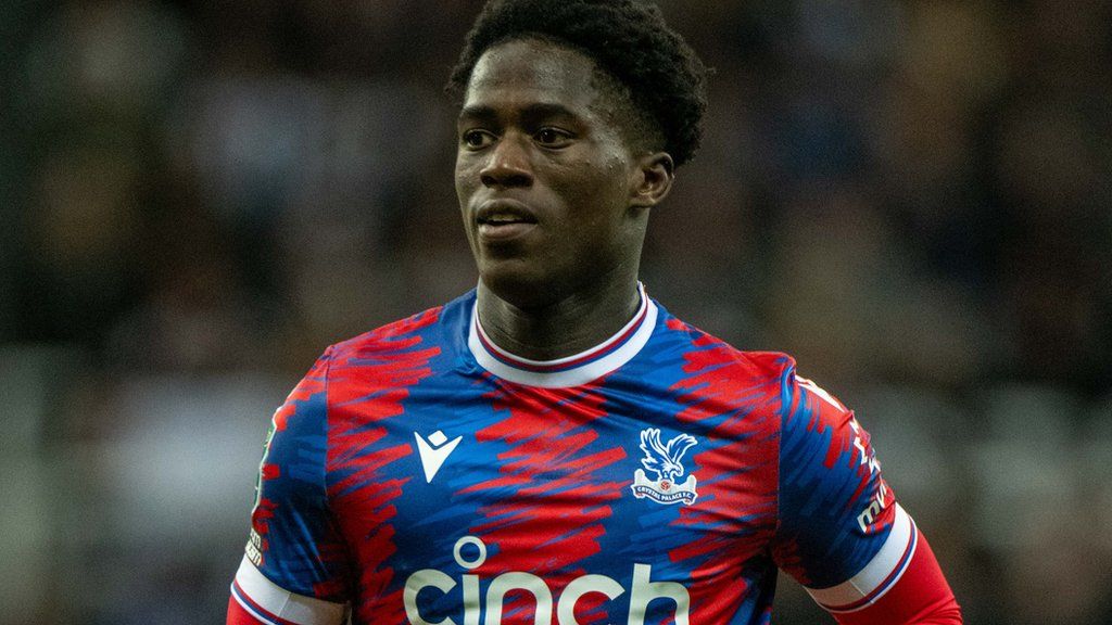 Malcolm Ebiowei: Hull City sign Crystal Palace forward on loan - BBC Sport