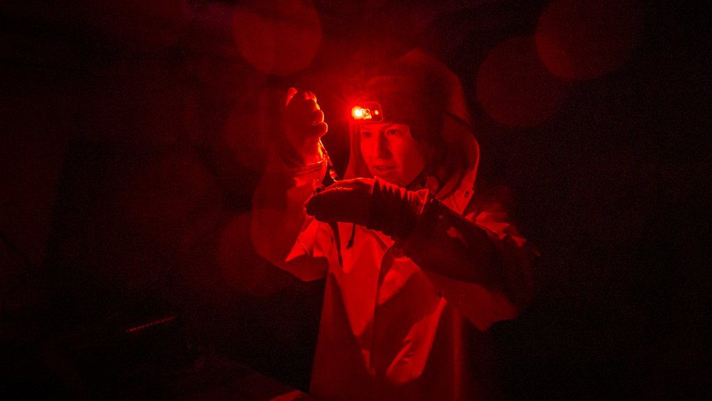 Arctic nights science