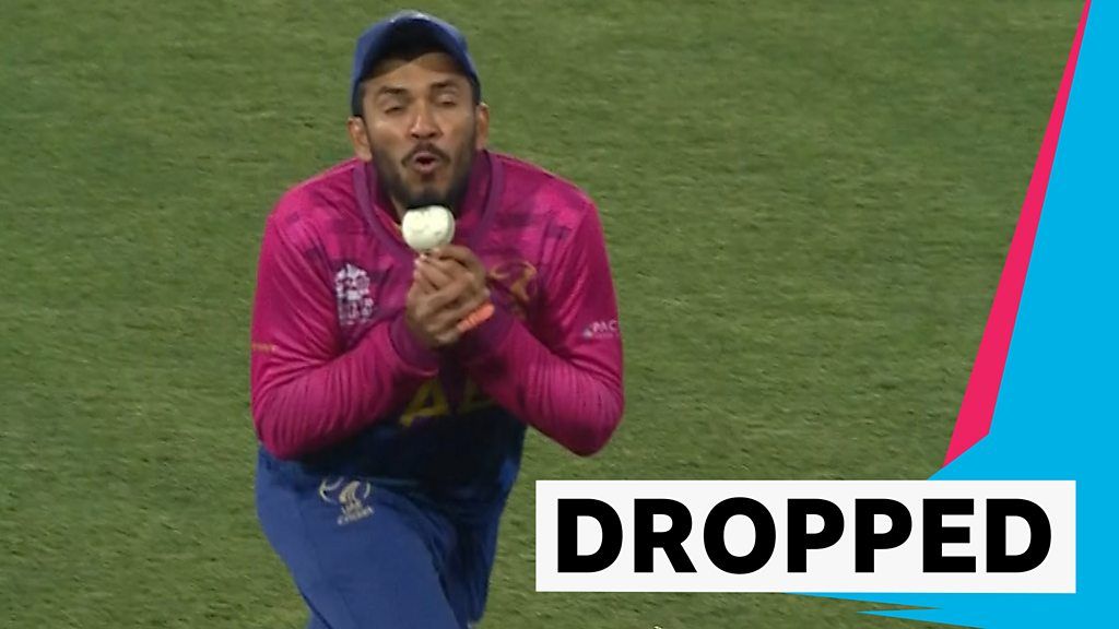 T20 World Cup: Watch CP Rizwan's incredible catch as Netherlands win