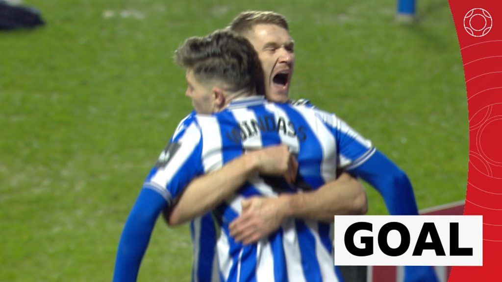 Windass gives Sheffield Wednesday lead over Newcastle
