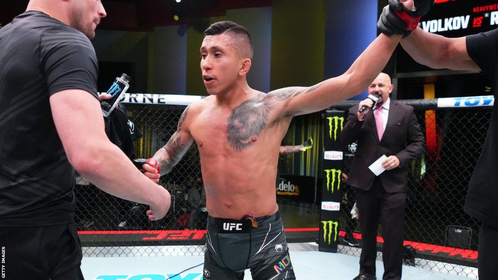 Pride Month: Why are there no openly gay male MMA fighters? - BBC
