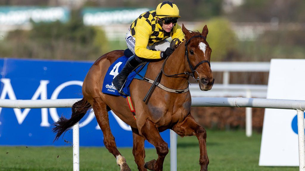 State Man's successful defence of the Irish Champion Hurdle completed Willie Mullins' clean sweep of the eight Grade One races at the Dublin Festival