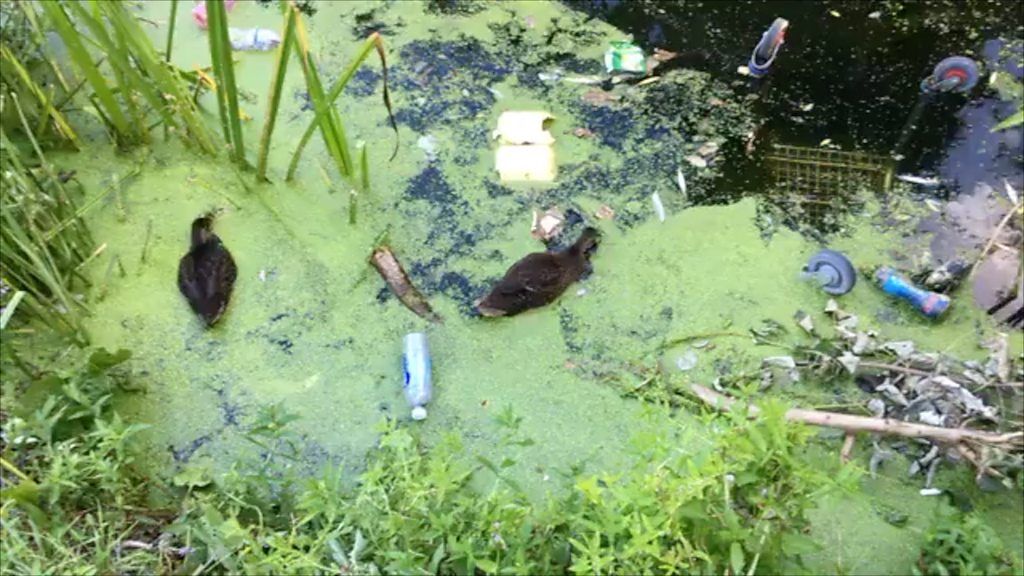 Litter in River Great Ouse