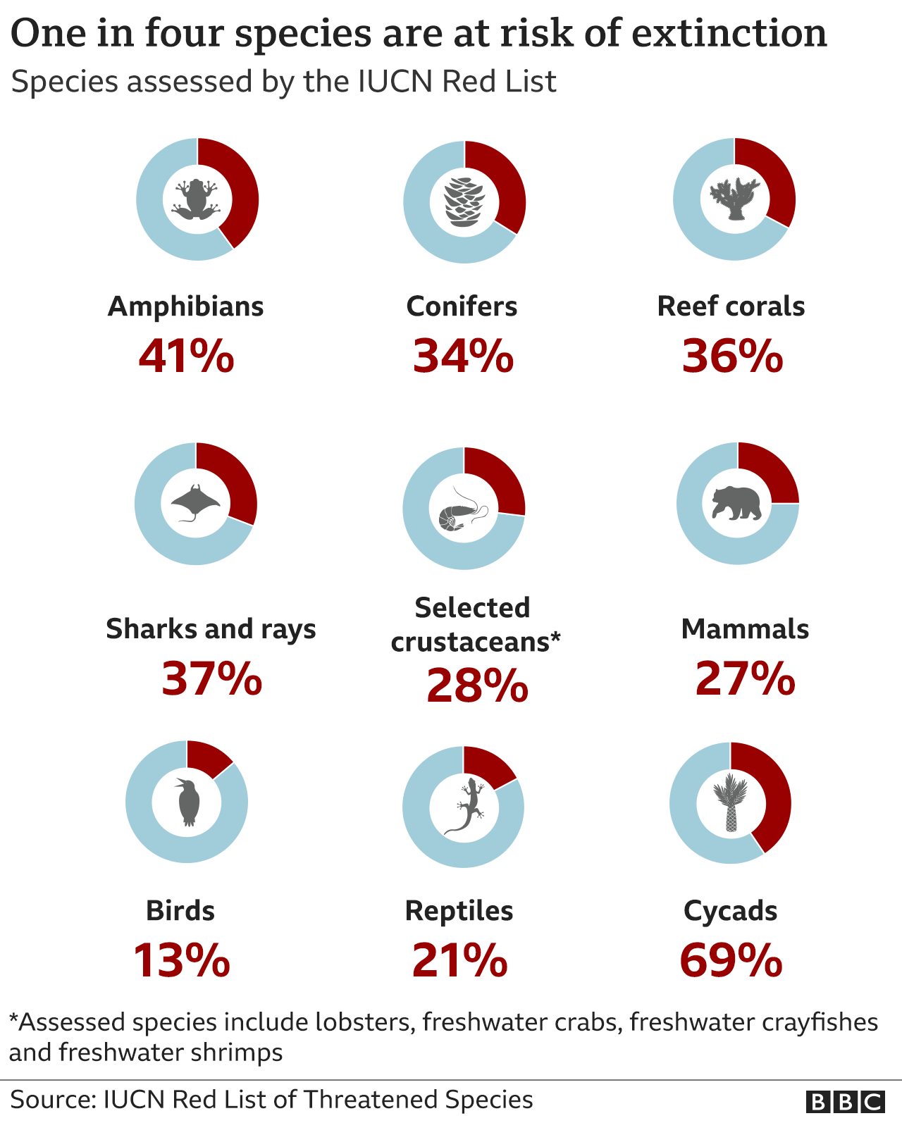 Graphic showing how more than one in four species of those assessed by the IUCN Red List are at risk of extinction, including 41% of amphibians, 27% of mammals and 13% of birds