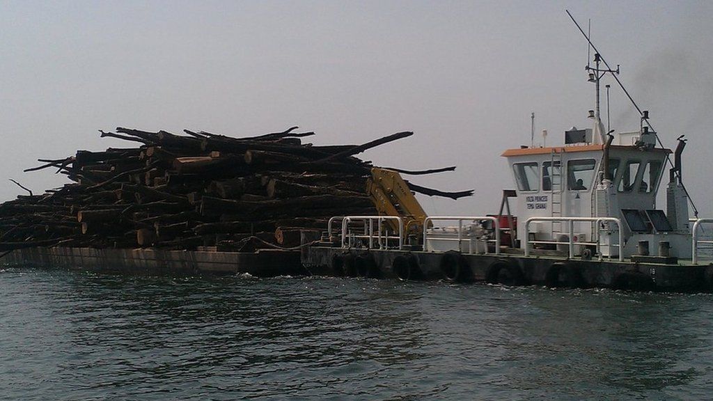Timber from the lake is loaded on to a barge before it is transported to a saw mill.