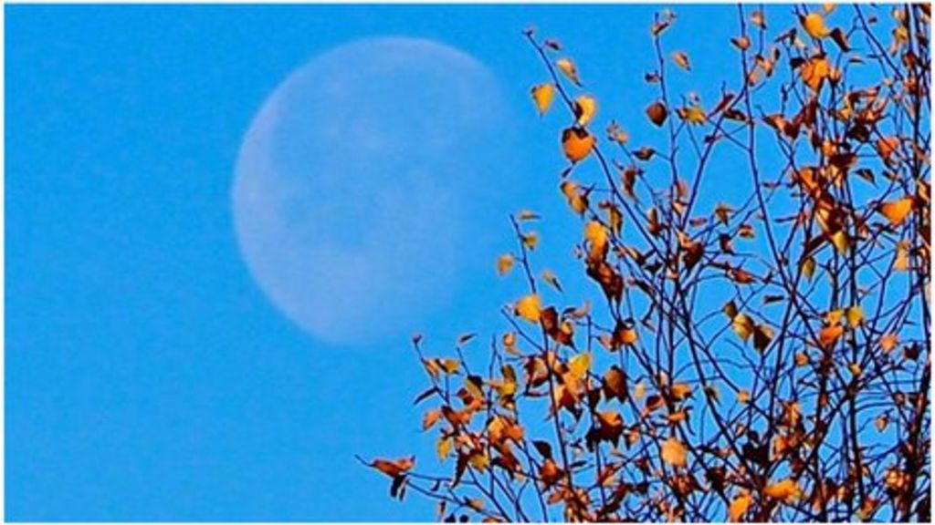 weather-for-the-week-ahead-bbc-weather