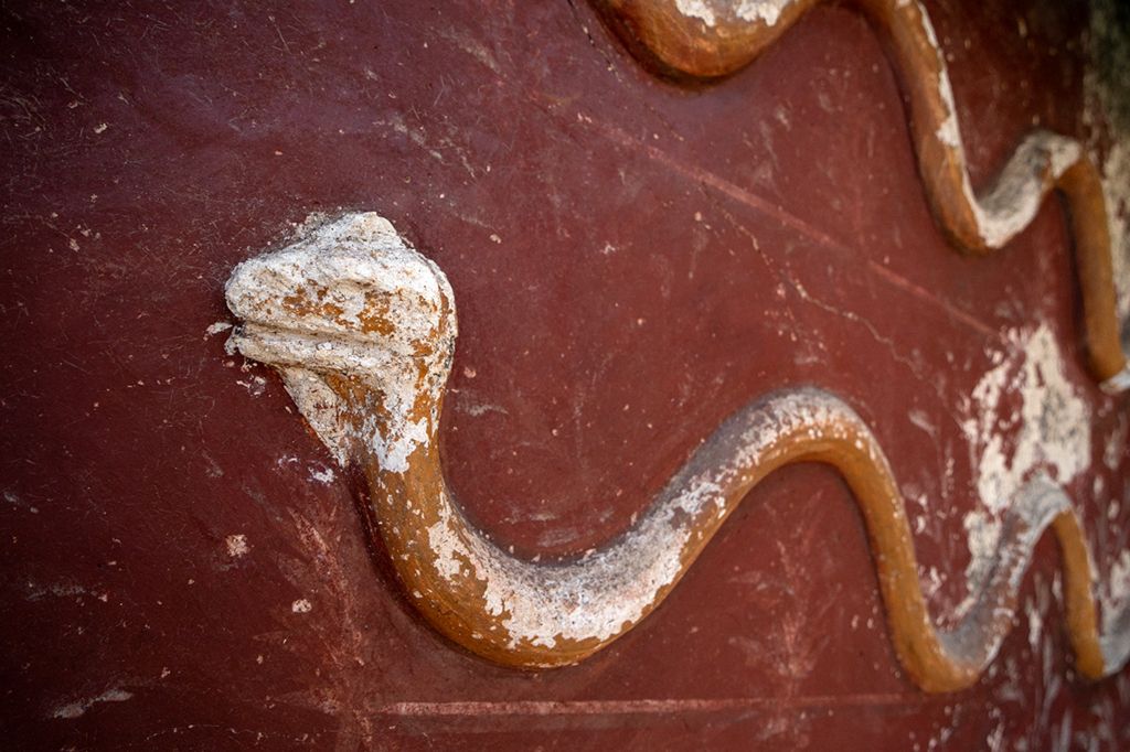 A three-dimensional serpent slivers up a burgundy background