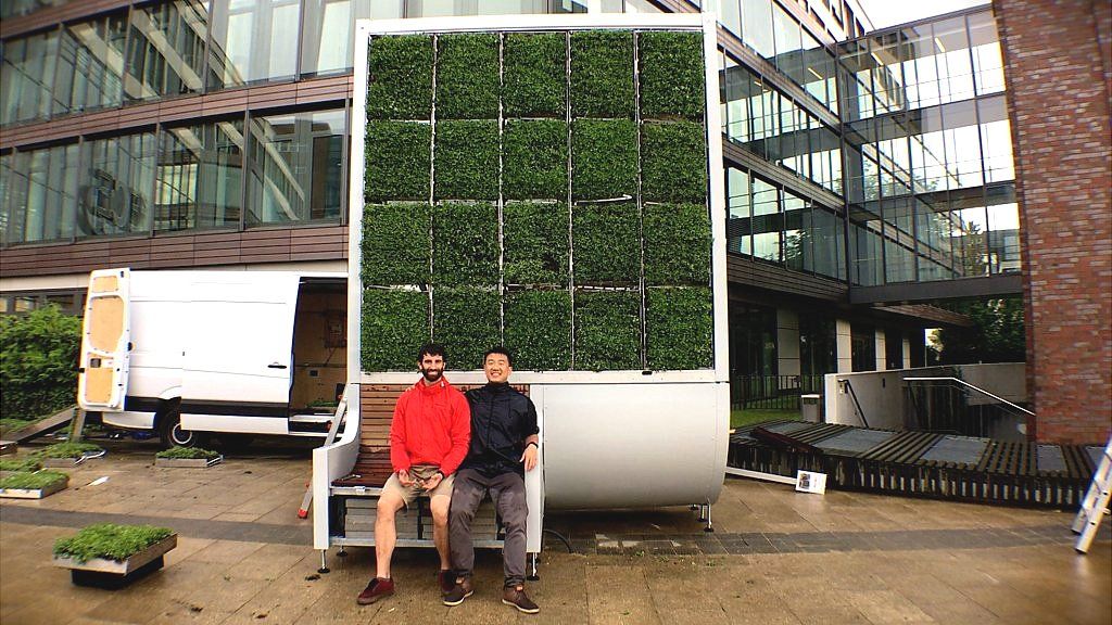 Start-up reinvents the tree to beat pollution