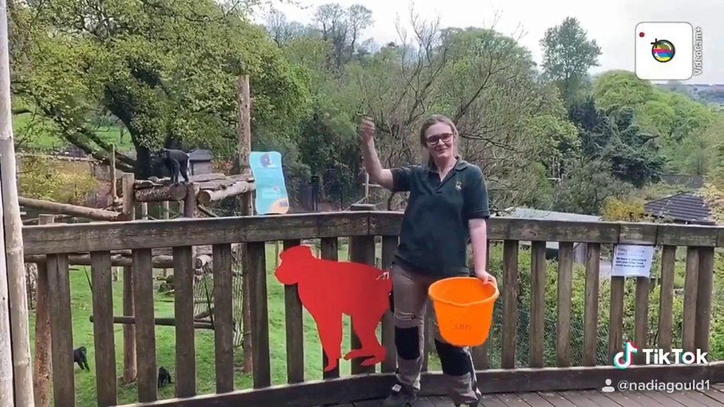 zookeeper-with-bucket.