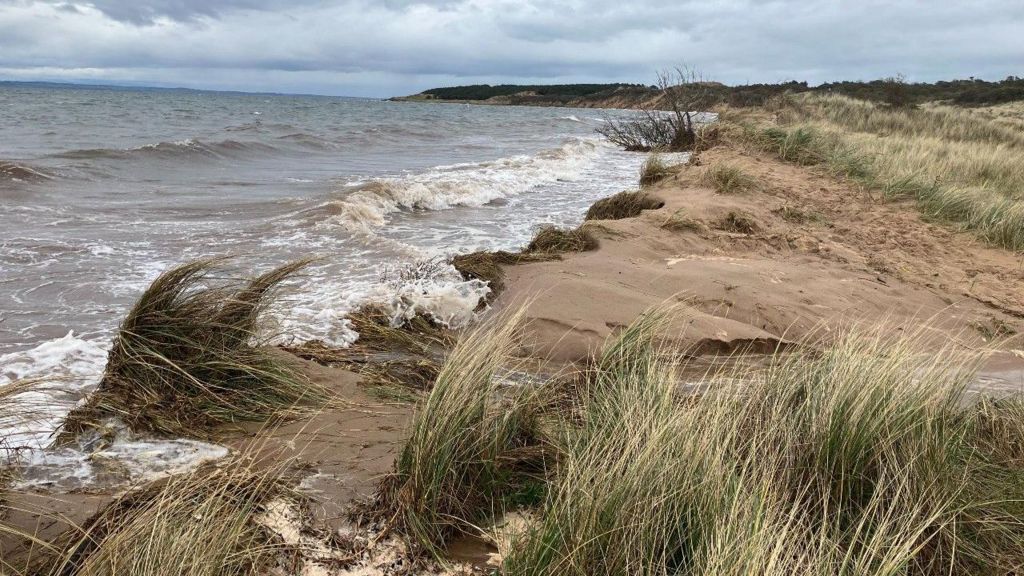 Erosion of the dunes on the beach at Gullane