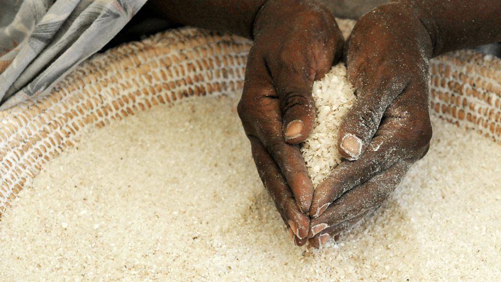 Poor harvest causes maize shortages in Kenya