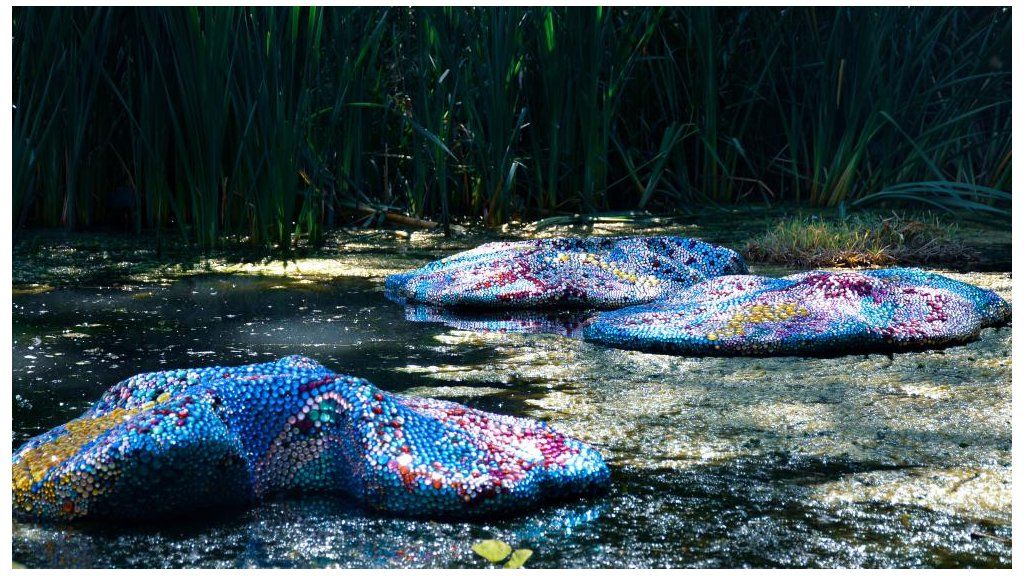 Coloured spots on mounds float on water