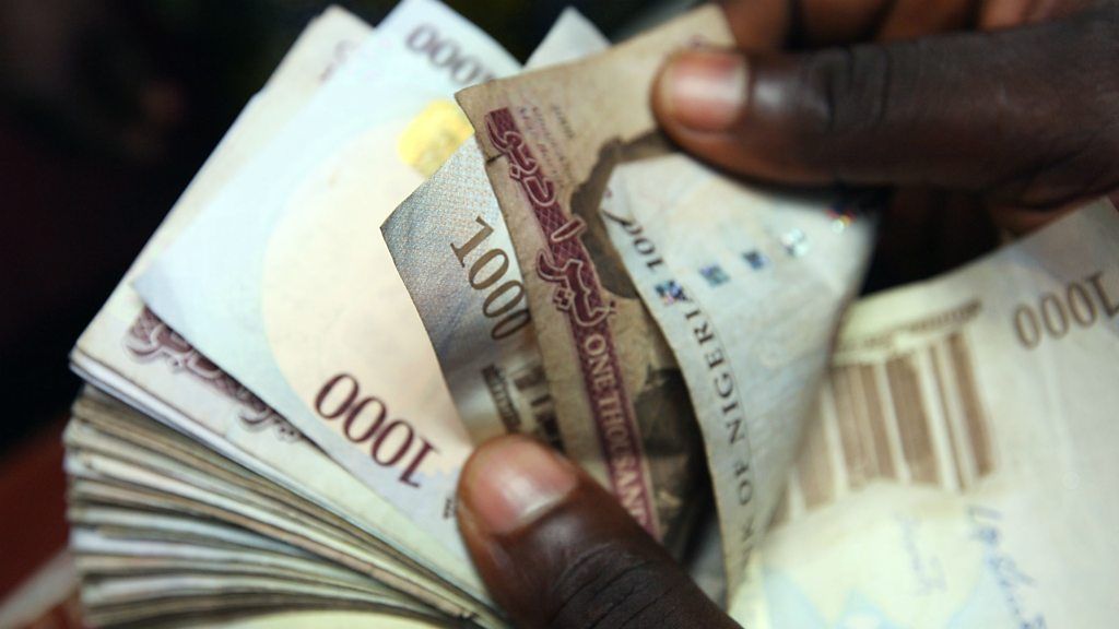Nigerian naira notes