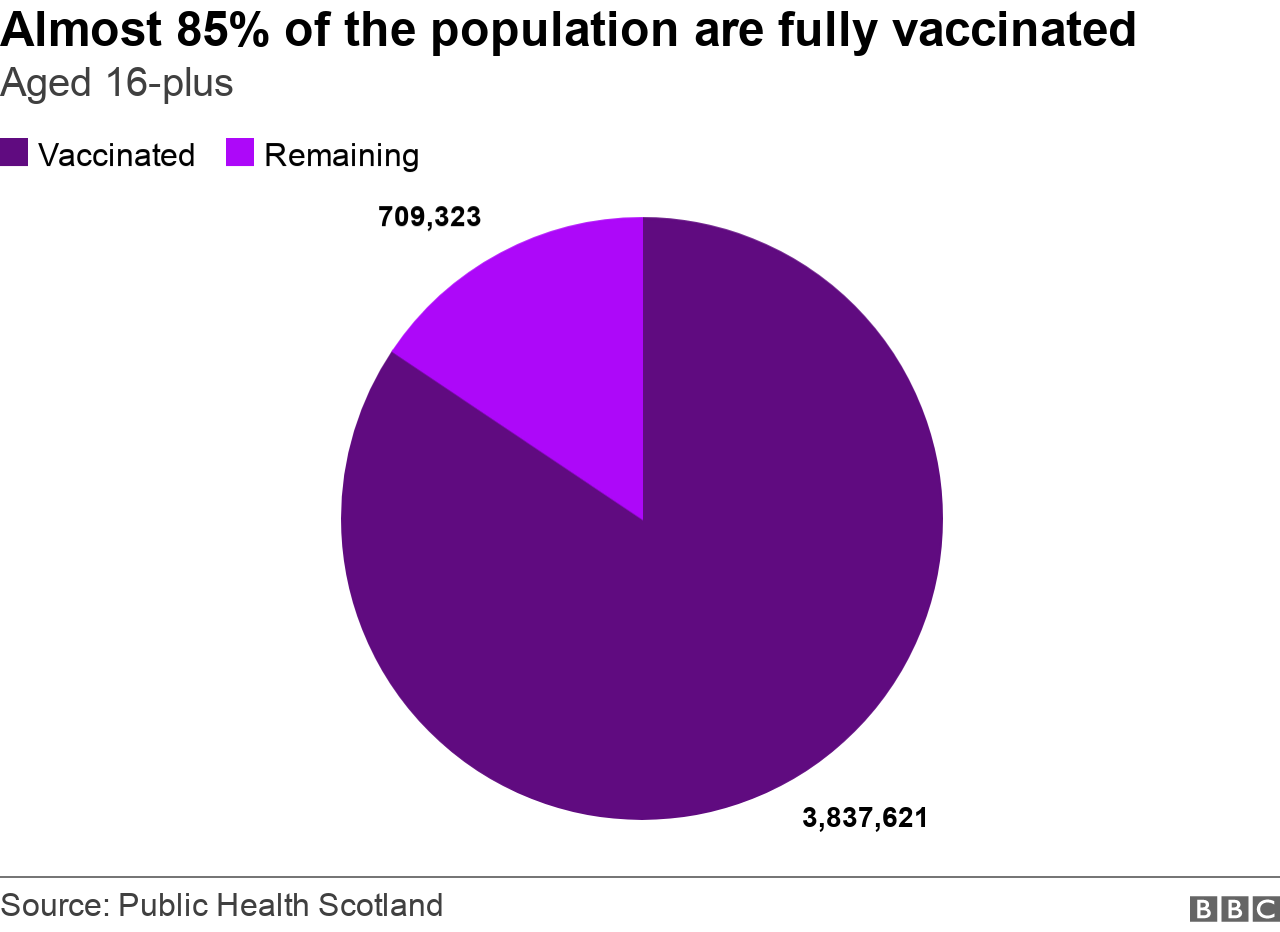 Fully vaccinated pie chart