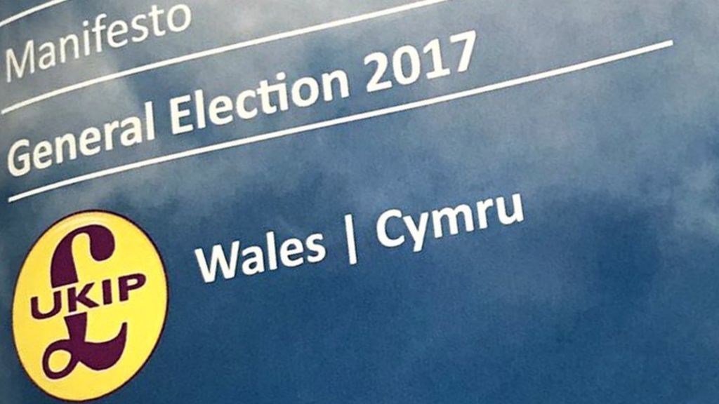 General Election 2017: UKIP Wales' manifesto at-a-glance - BBC News