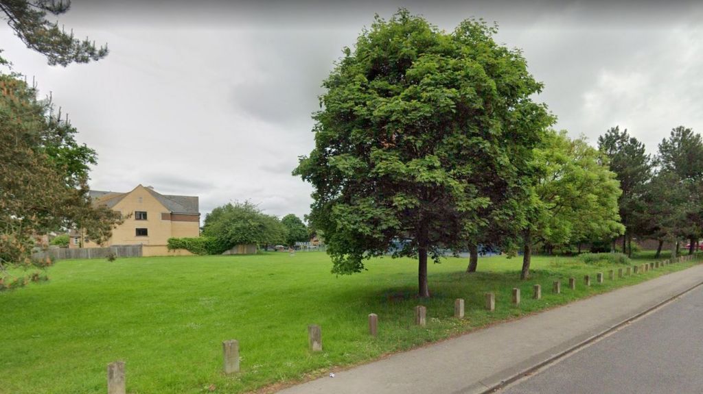 Oxford Wood Farm Park murder Woman arrested BBC News