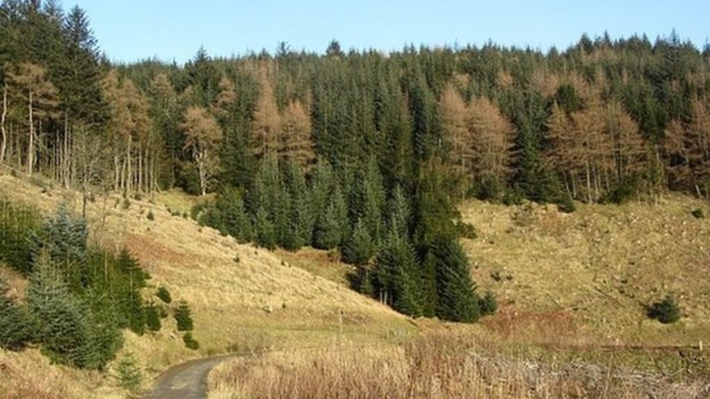 glentress walking trails