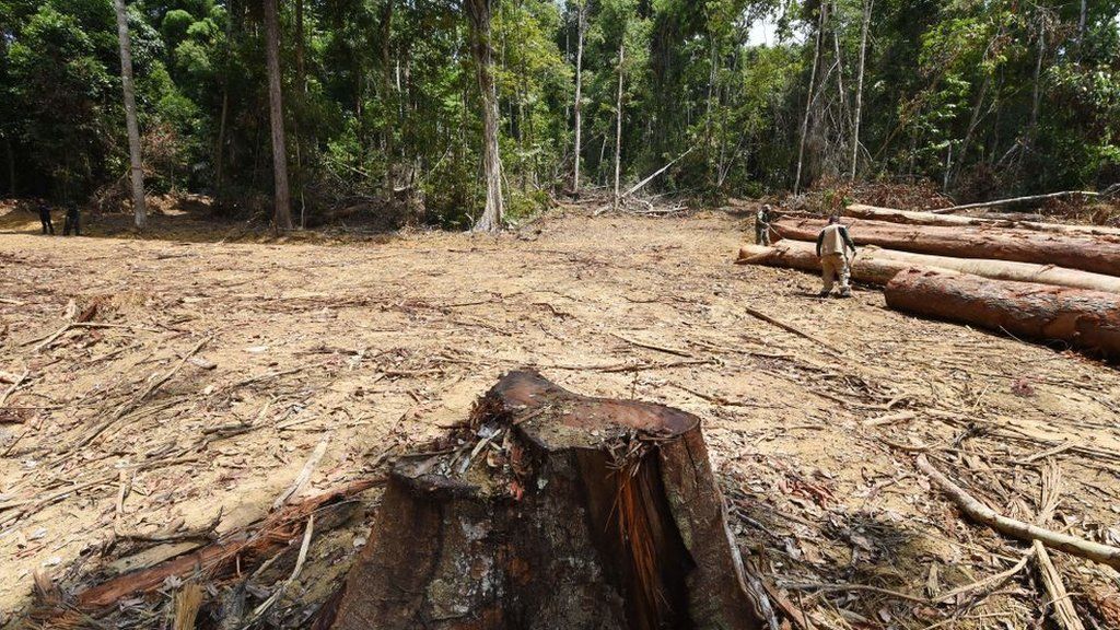 Должностные лица из штата Пара на севере Бразилии осматривают обезлесенный участок тропических лесов Амазонки во время наблюдения в муниципалитете Пакаха, в 620 км от столицы Белем, 22 сентября 2021 г.
