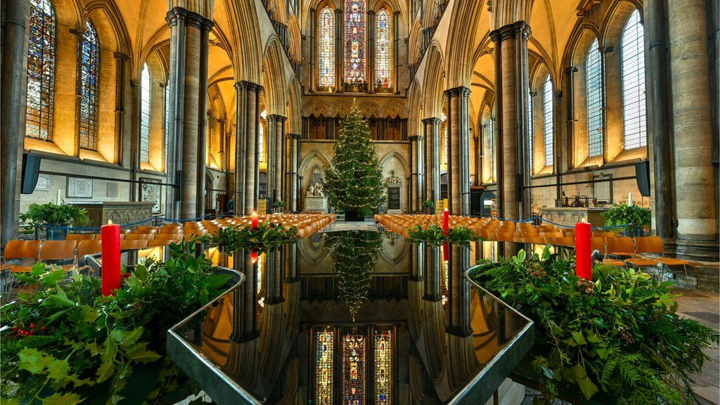Salisbury Cathedral's 32ft tree