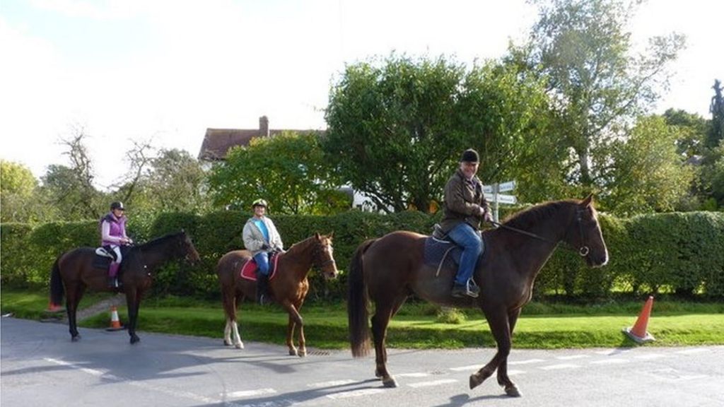 Road campaign to cut number of horses and riders killed