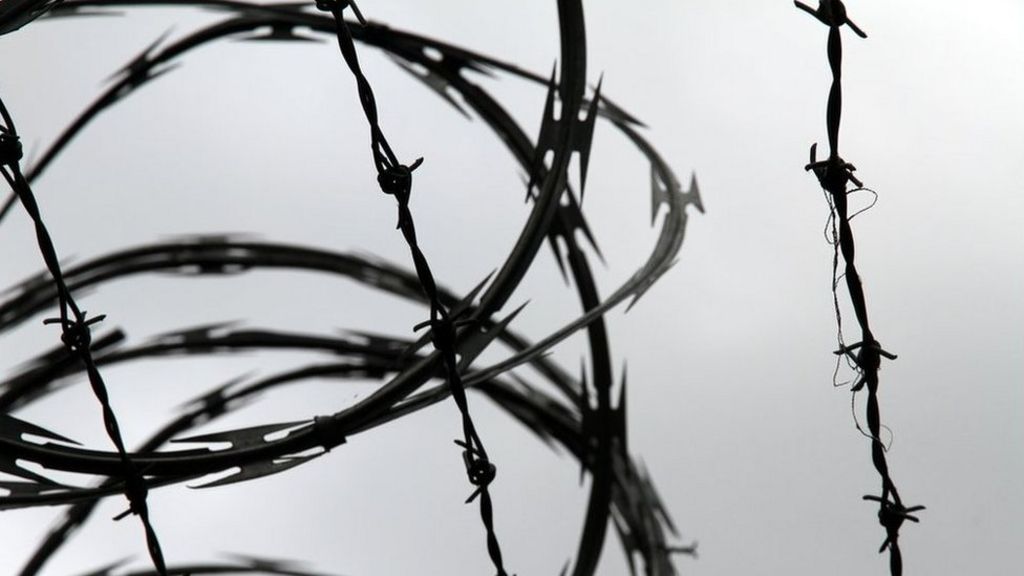 define barbed wire