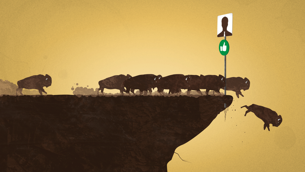 Ilustração com diversos búfalos seguindo em direção a um despenhadeiro, onde há uma placa com a foto de um perfil de rede social
